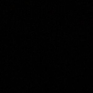 Meet your Posher, Jayla